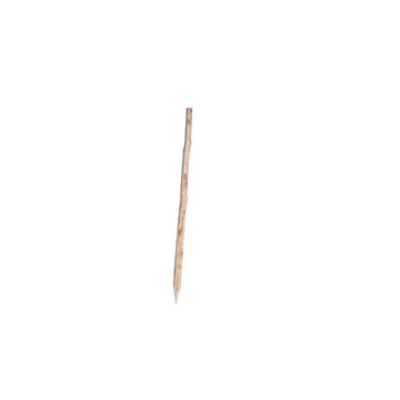 Wooden Stake 900mm
