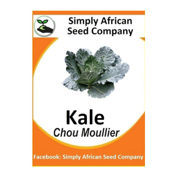 Kale (Chou Moullier) 50's