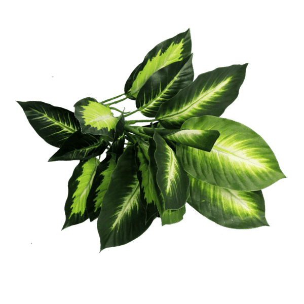 The Green Wall Co. - Artificial Foliage  - White Heart Plant - 50cm