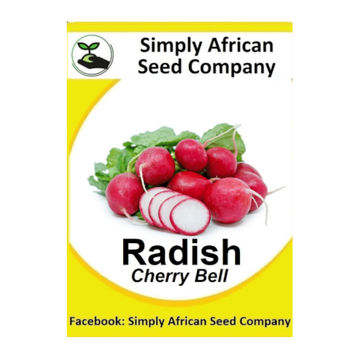 Radish (Cherry Belle) 100's