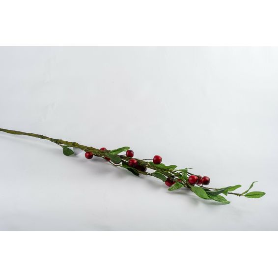 Mini Apples 90Cm Stem