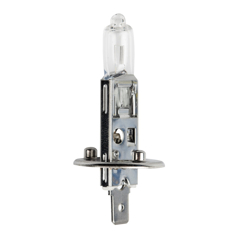 Globe 12 V 55 W Halogen H1 Glh1001 G1904 213040