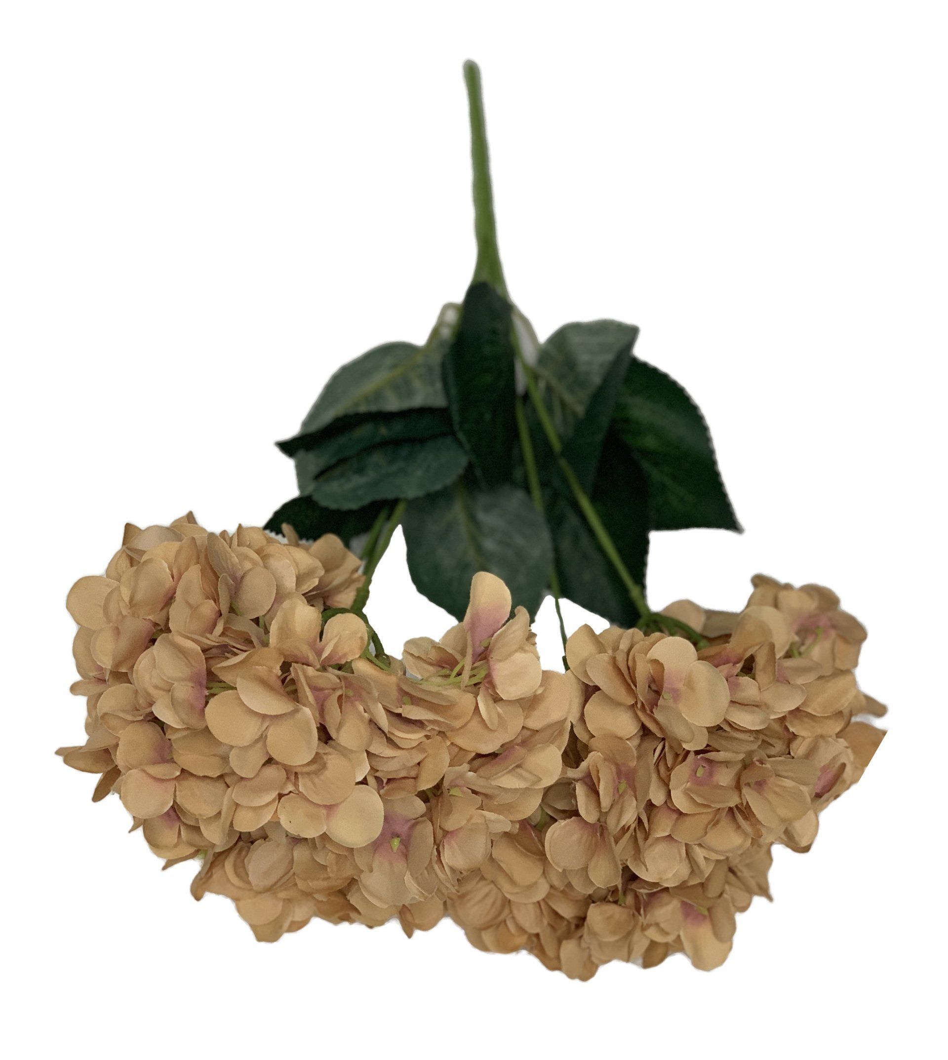 Hydrangea Cream/Brown 48Cm