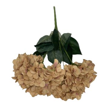 Hydrangea Cream/Brown 48Cm