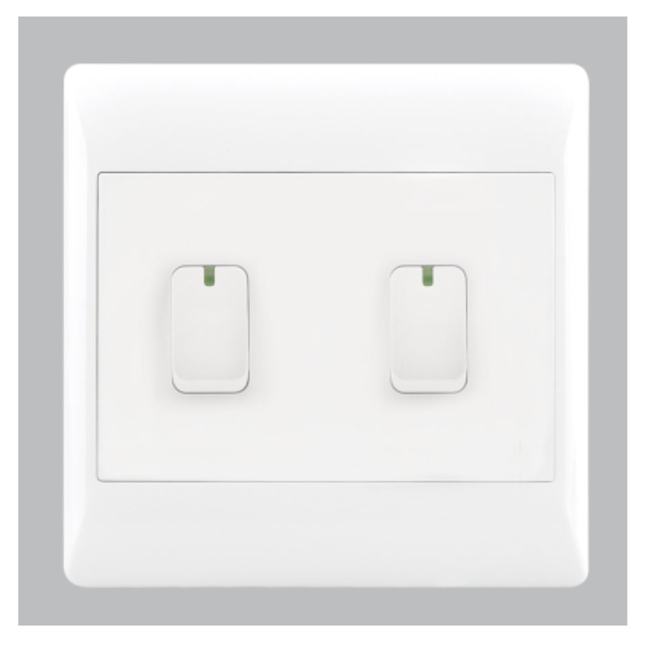 2 Lever 1 Way Switch 4 X 4