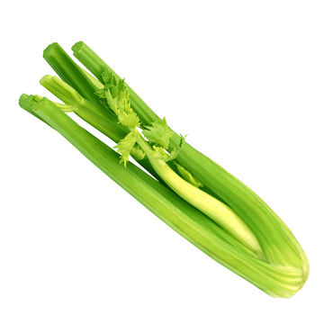 Celery 6 pack