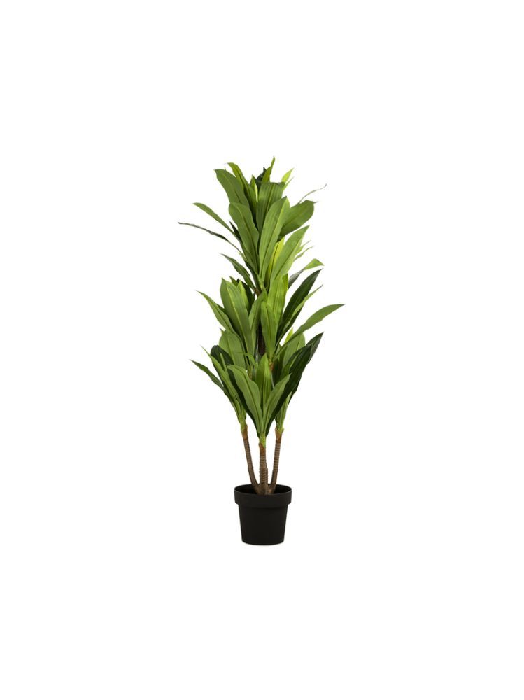 Faux Dracaena Plant in Plastic Pot – Artificial Indoor Plant 130cm