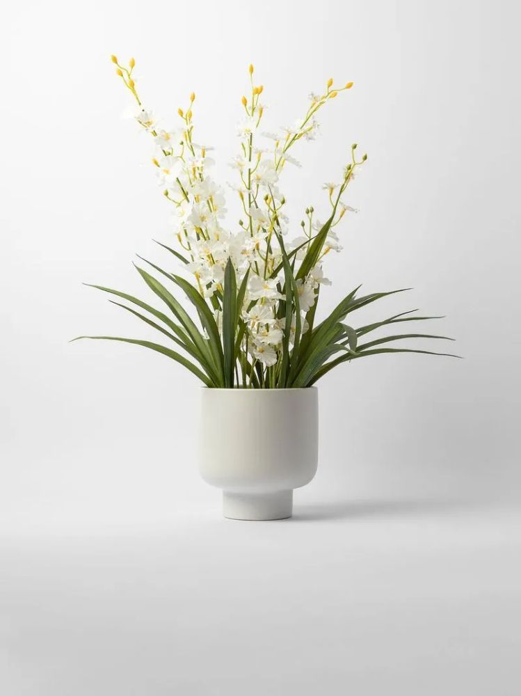 Faux Potted Oncidium Orchid in Ceramic Pot – Artificial Indoor Plant 57cm