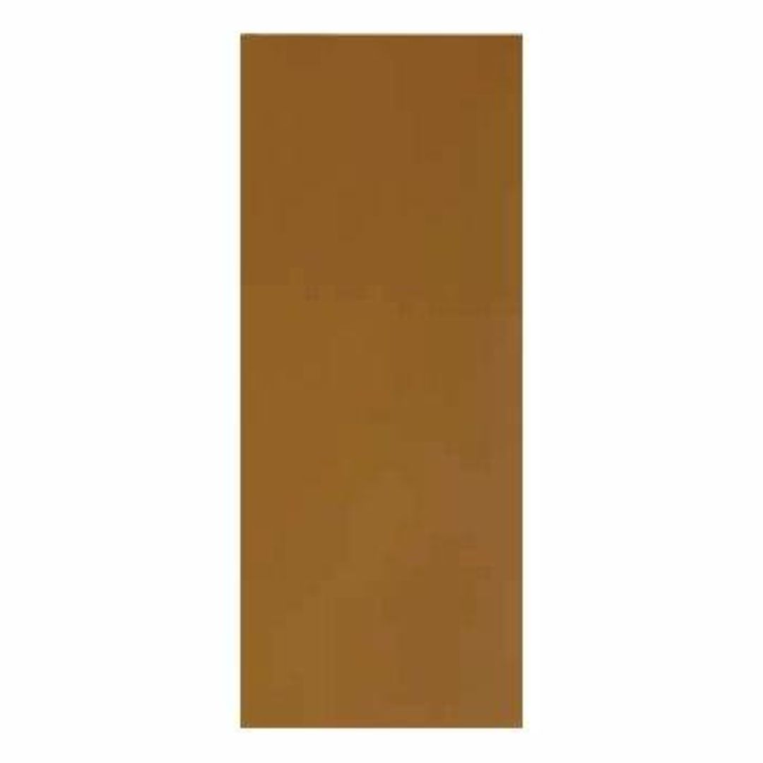 Internal Masonite Door