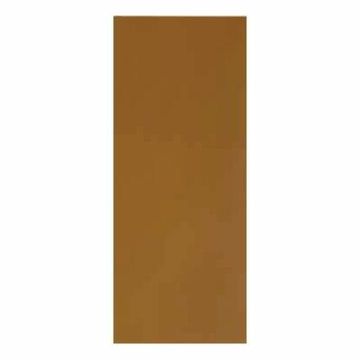 Internal Masonite Door