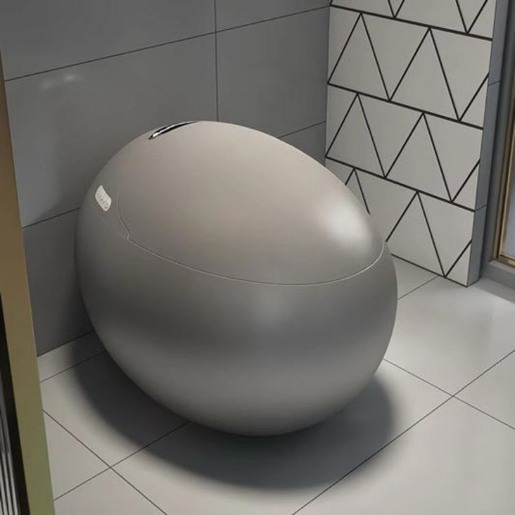 Egg-Shaped Smart Toilet with Tankless Bidet & Remote- Grey