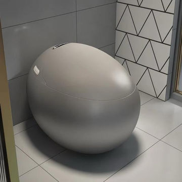 Egg-Shaped Smart Toilet with Tankless Bidet & Remote- Grey