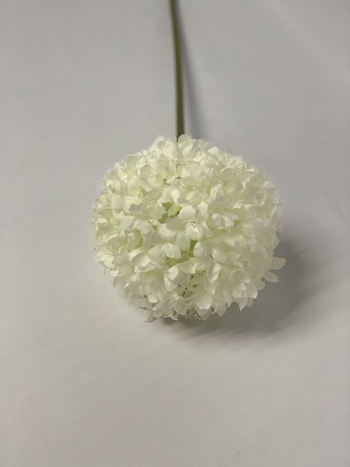 -4 White Agapanthus 68Cm
