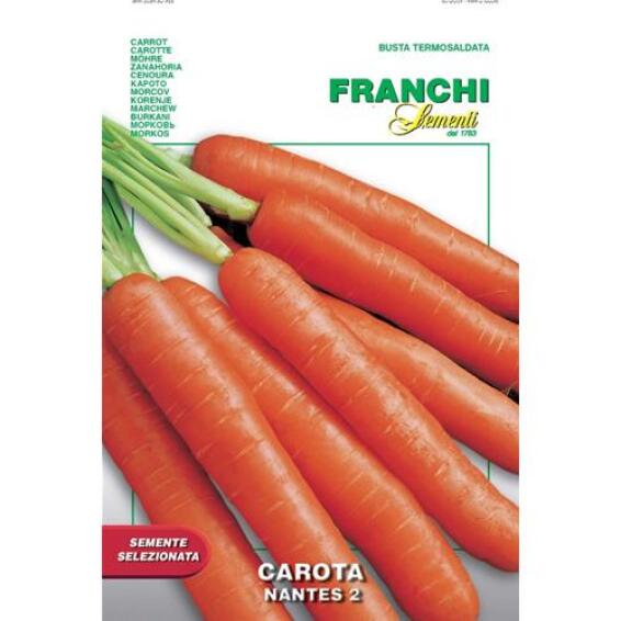 Seed, Carrots Nantes 2, FRANCHI SEMENTI