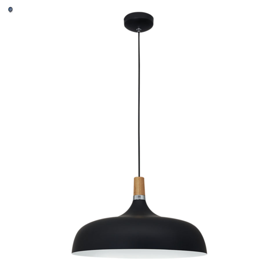 Metal Pendant with Wood