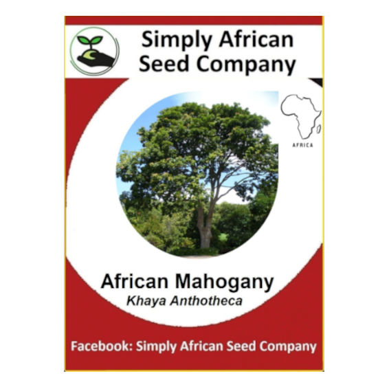 African Mahogany (Khaya Anthotheca) (3's)