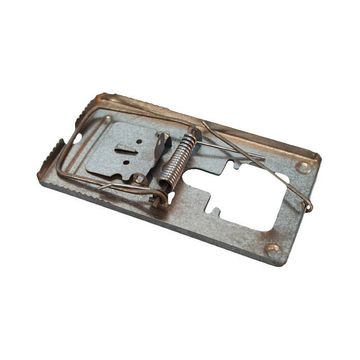 Rat Trap - 5 Pack