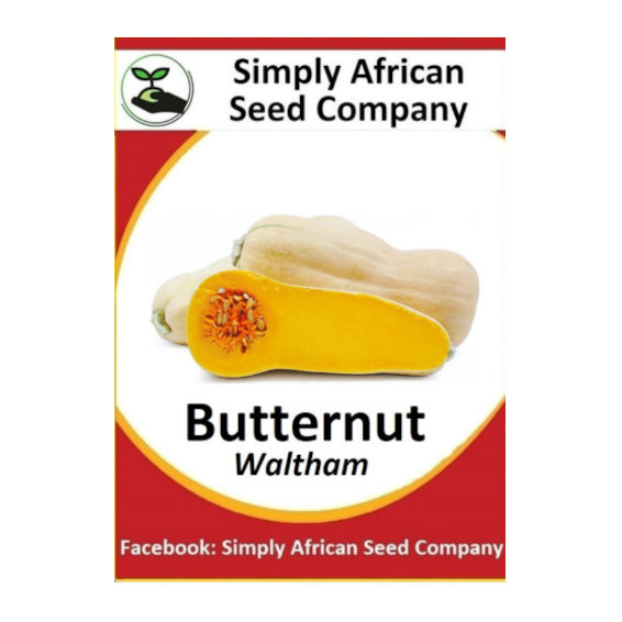 Butternut Waltham 30's