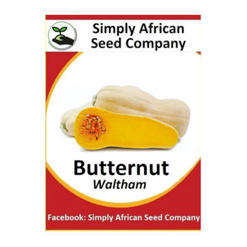 Butternut Waltham 30's