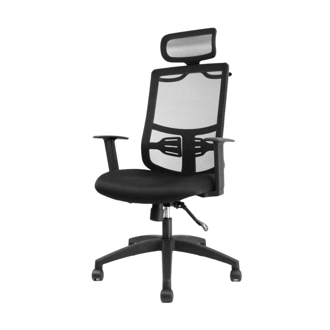 Executive Ergonomic Office Chair - TRIDENT