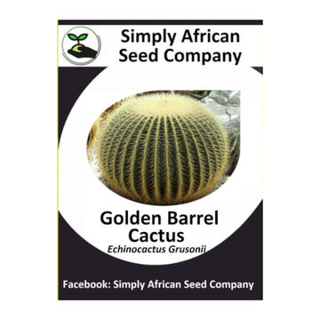 Golden Barrel Cactus (Echinocactus Grusonii) 20's