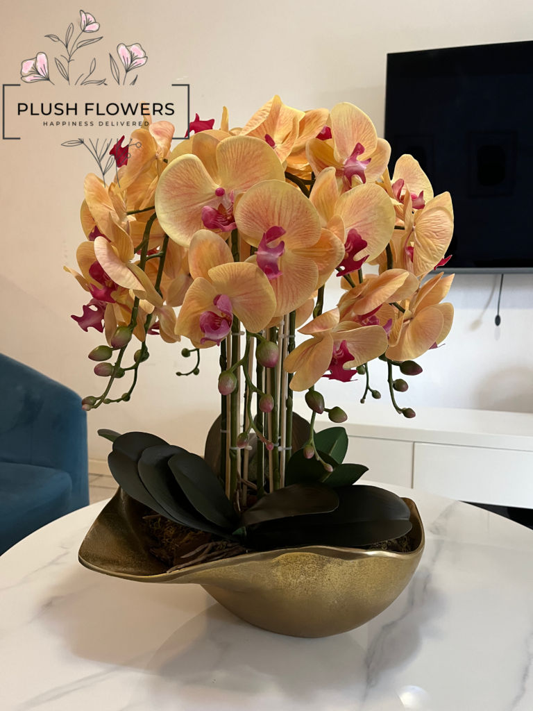Mumu Arrangement