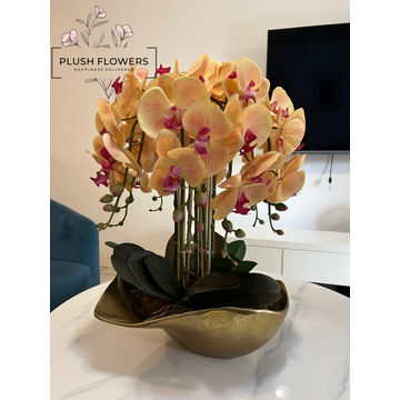 Mumu Arrangement
