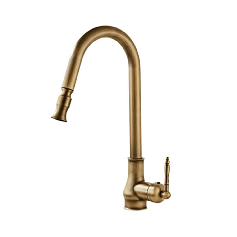 TTB010- Brass extendable kitchen mixer