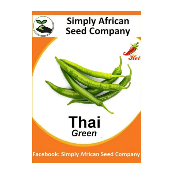 Thai Green 30's
