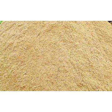 Building Sand