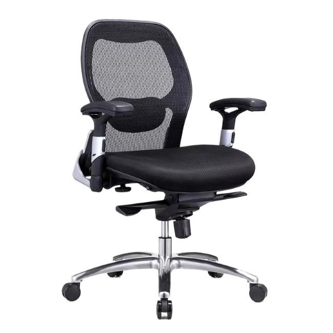 QandAHome Troy Orthopedic Office Chair