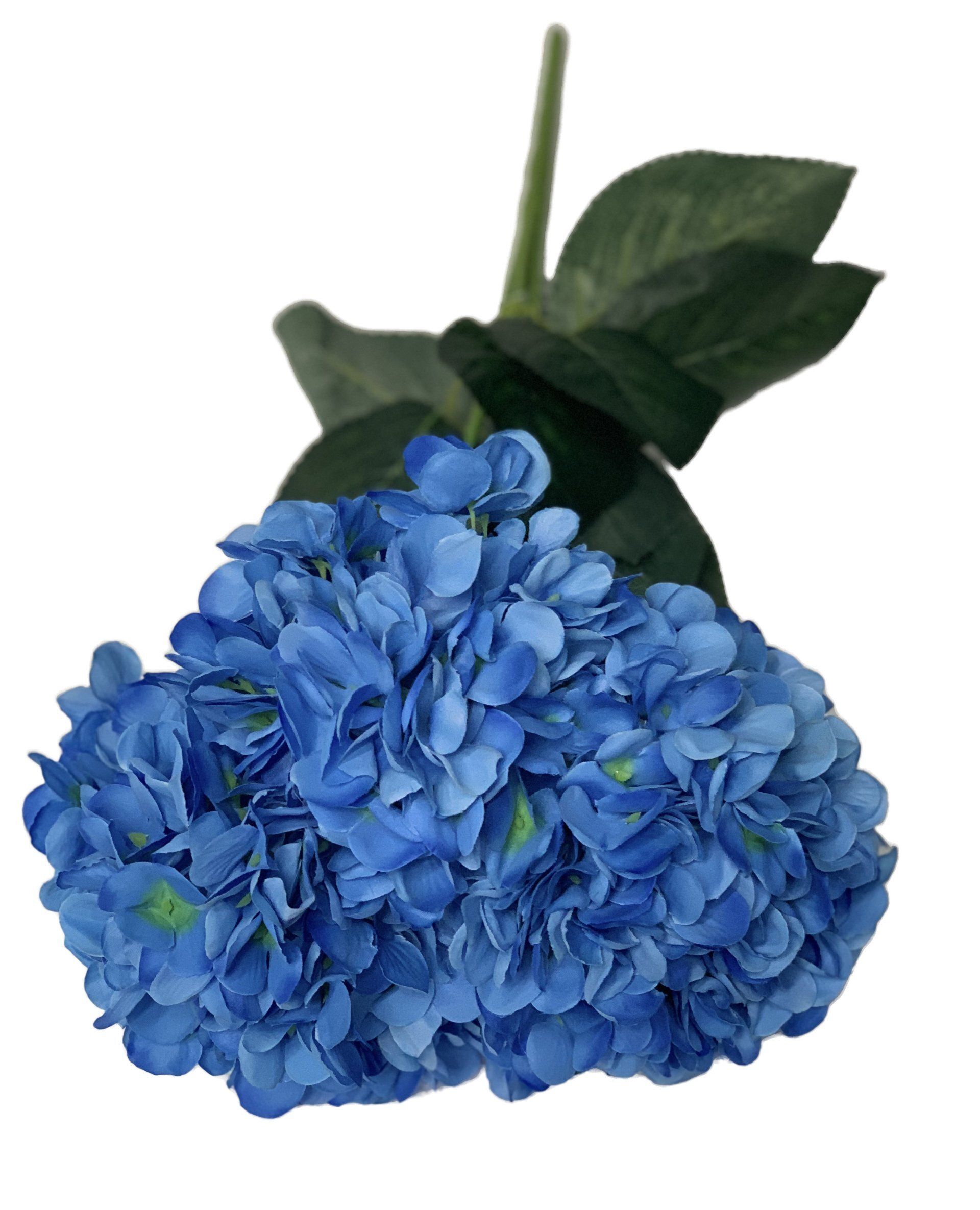 Hydrangea D/Blue 48Cm