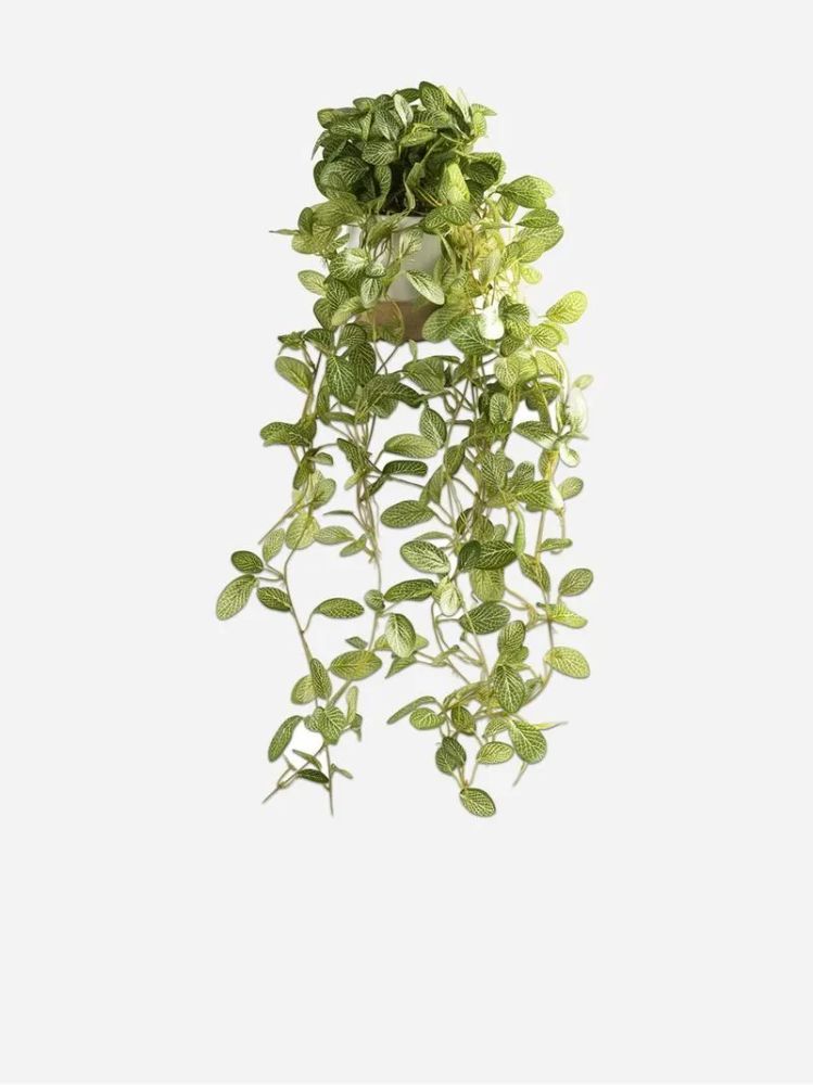 Trailing Faux Greenery in Cement Pot – Artificial Indoor Plant 65cm