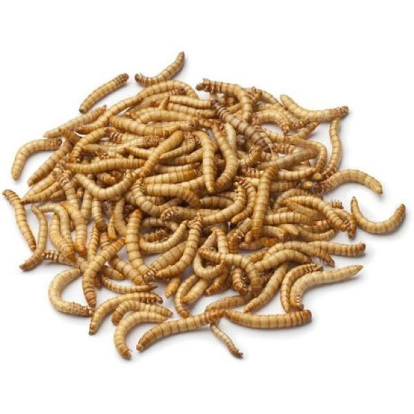 Dried Mealworms - 2 x 5kg