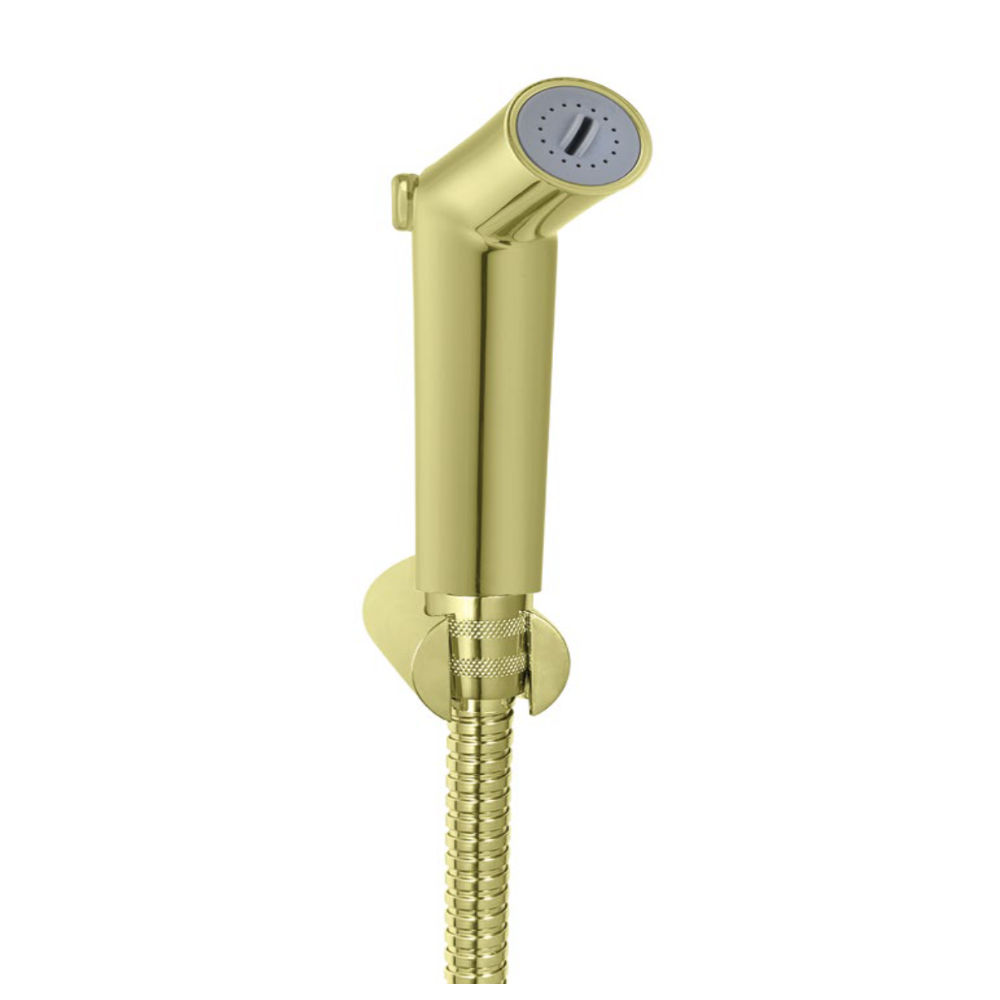 BRUSHED BRASS BIDET SET
