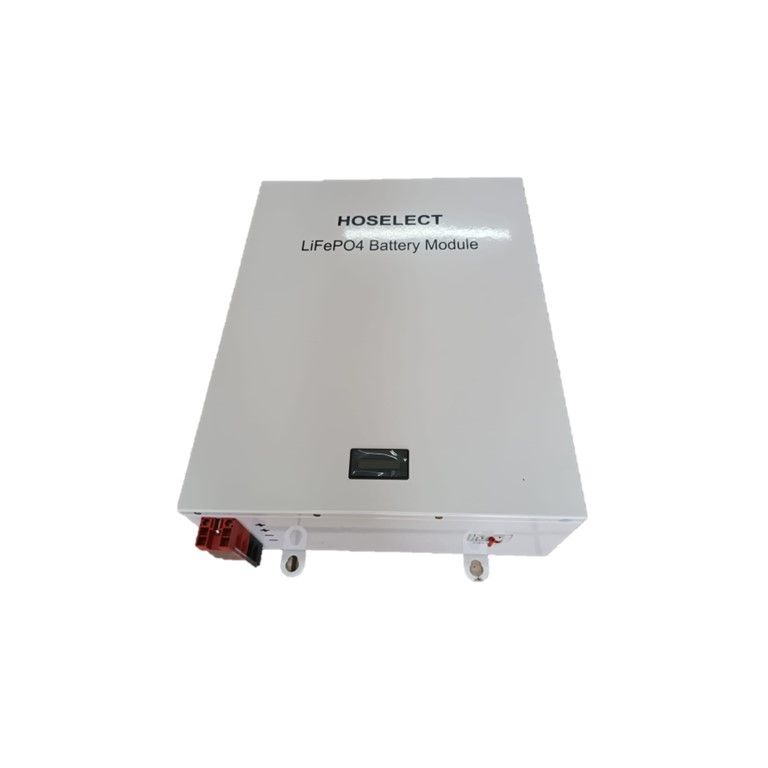 Hoselect 24V 100Ah LiFePo4 Lithium-ion Battery (Wall Mount)