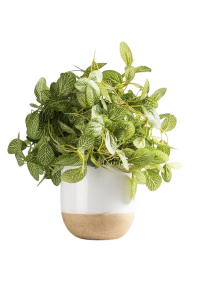 Artificial Hanging Greenery with Pot – Indoor Decorative Plant 65cm