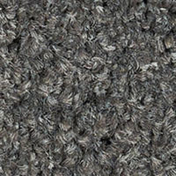 Wall-to-Wall Carpet Harmony Elevation(3.66m width)
