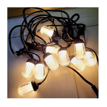 Loofah String With Hooks Warm White Lights 10 Bulbs