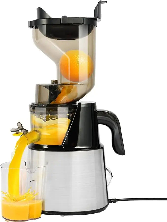 Masticating Juicer Machine - Stainless Steel Body