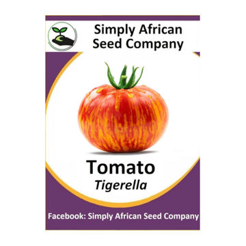 Tomato Tigerella 15's