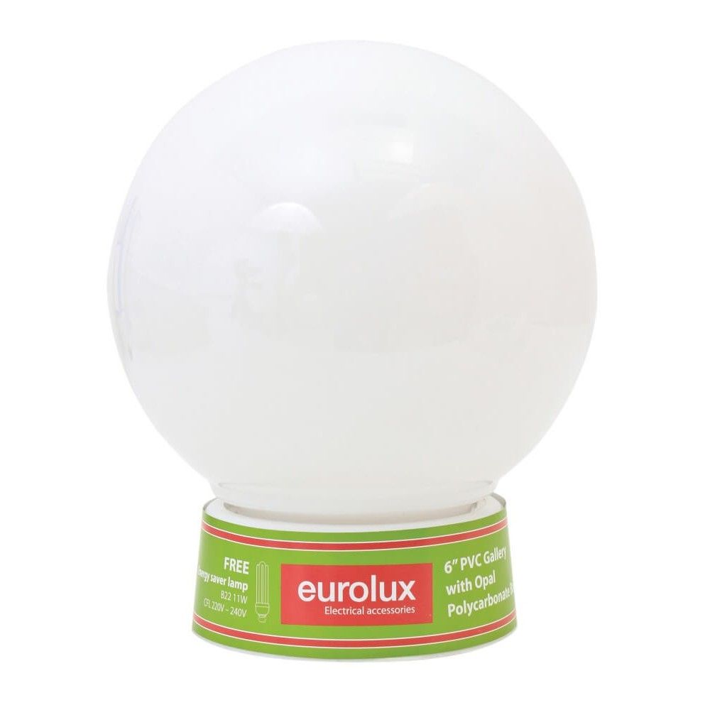 Budget Light Includes CFL Globe