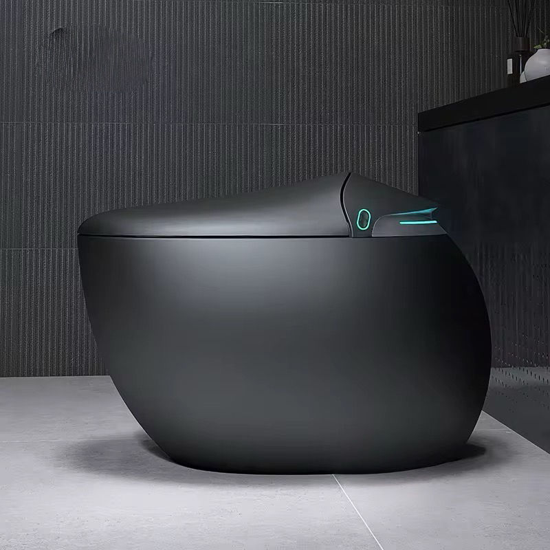 Intelligent Self-Cleaning Smart Toilet