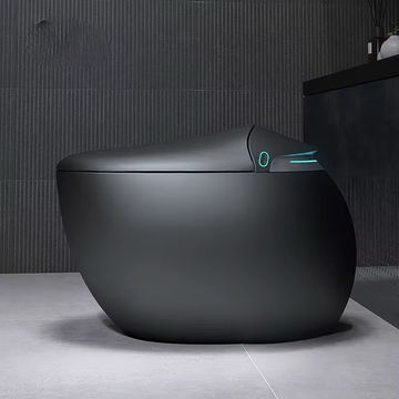 Intelligent Self-Cleaning Smart Toilet
