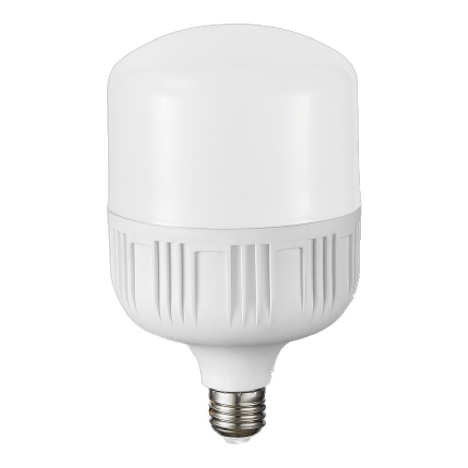 38W LED Bulb T Globe