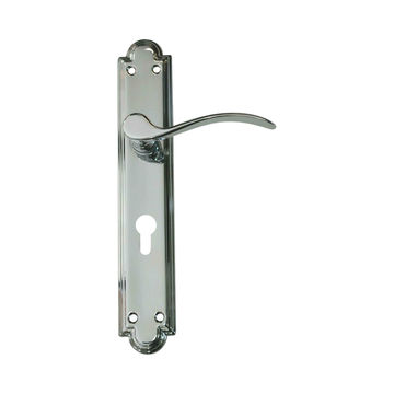 Classic Lever Handle on Back Plate