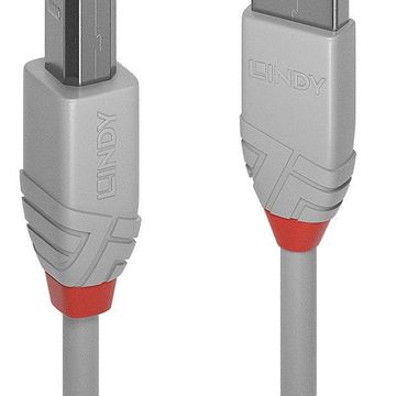Lindy 0.5M Usb2.0 Type-A To Type-B Cable - Anthra Line, Grey (36681)