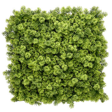 Artificial Foliage UV Protected - Green Wall: Moss - 50cm x 50cm - 12x panels