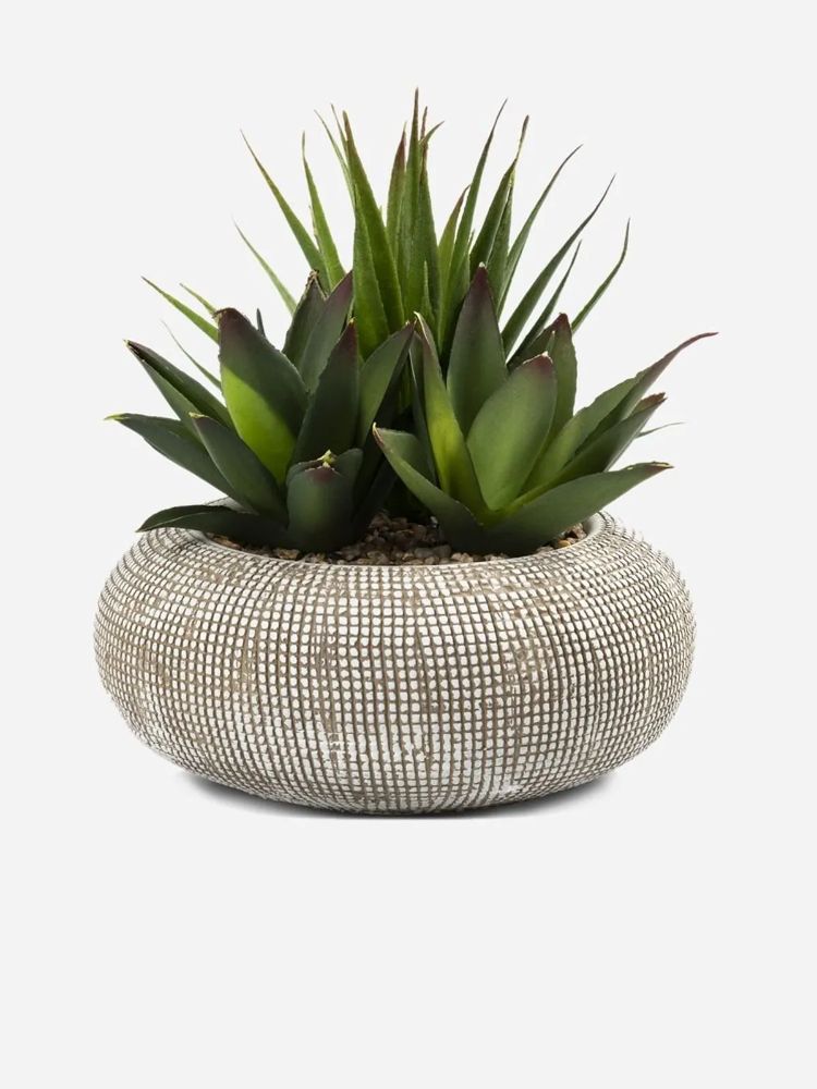 Faux Succulents in Cement Pot – Artificial Indoor Plant Décor (20cm)