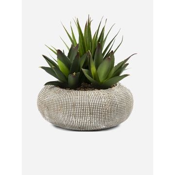 Faux Succulents in Cement Pot – Artificial Indoor Plant Décor (20cm)